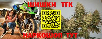 тгк Партизанск