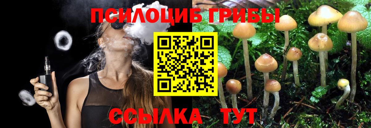 Галлюциногенные грибы Cubensis Сергиев Посад